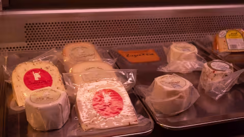 Käse- & Molkereiprodukte