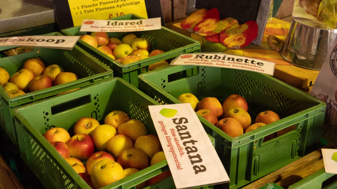 Selbstangebaute Äpfel von Floreana Landmarkt in Wadersloh